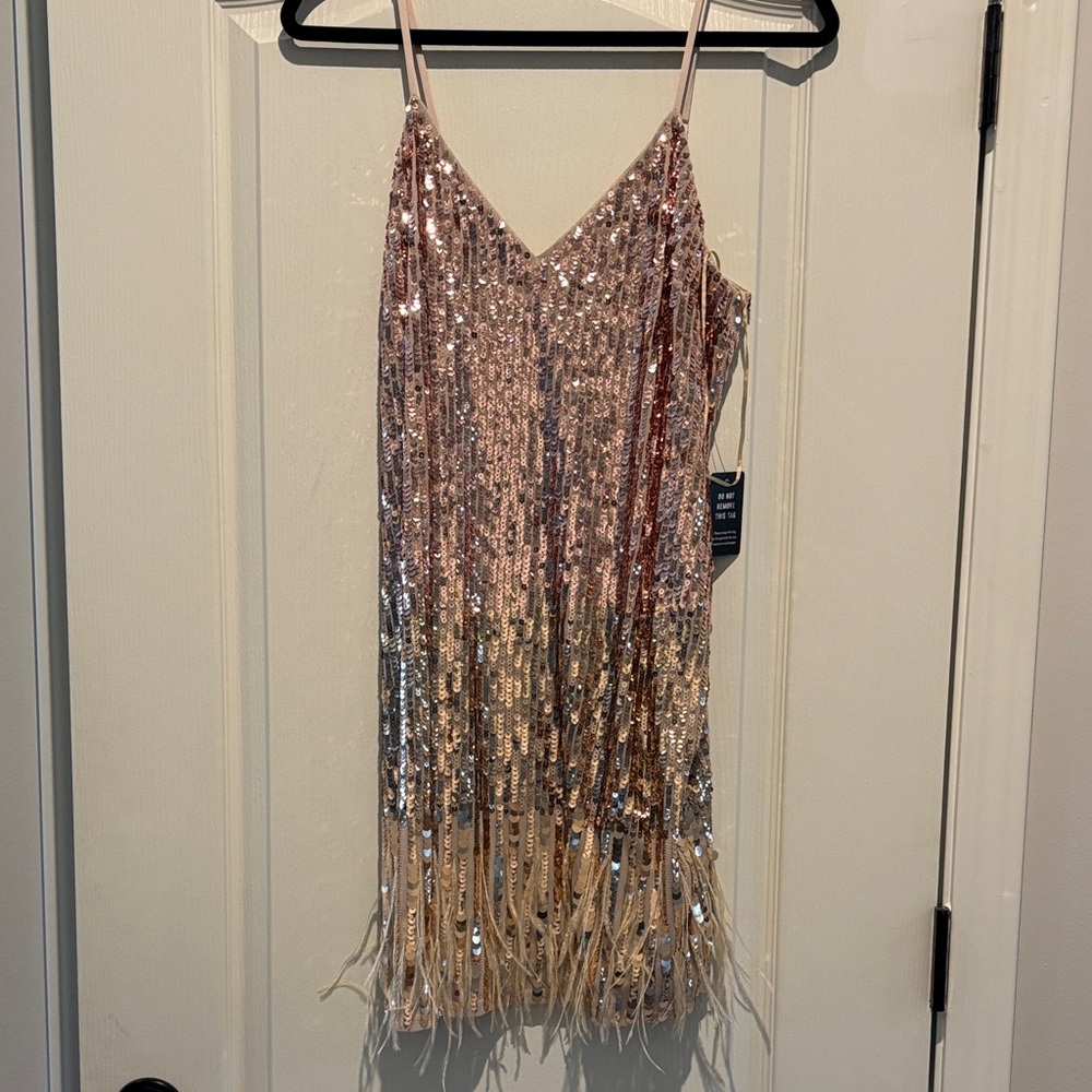 Express Sequin Fringe Mini Dress in Gold and Silver